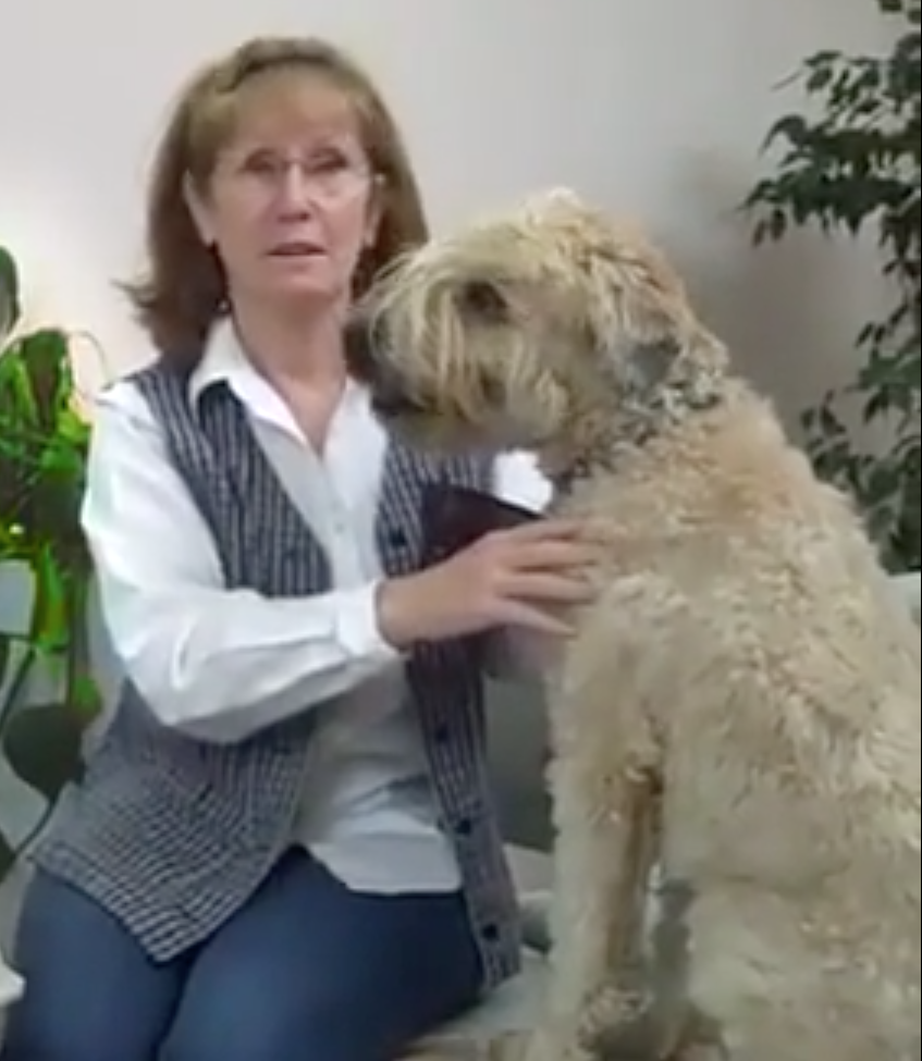 Geneva Animal Hospital, Animal Hospital Geneva, Cabinet Vétérinaire International,Geneva Veterinarian, veterinarian Geneva