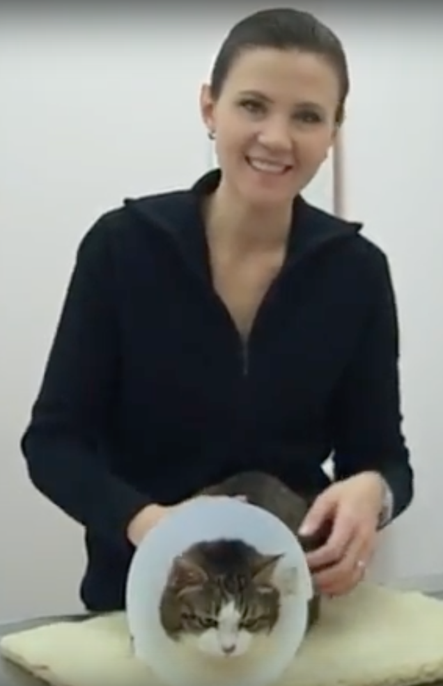 Geneva Animal Hospital, Animal Hospital Geneva, Cabinet Vétérinaire International, Geneva Veterinarian, veterinarian Geneva, Christine with owner