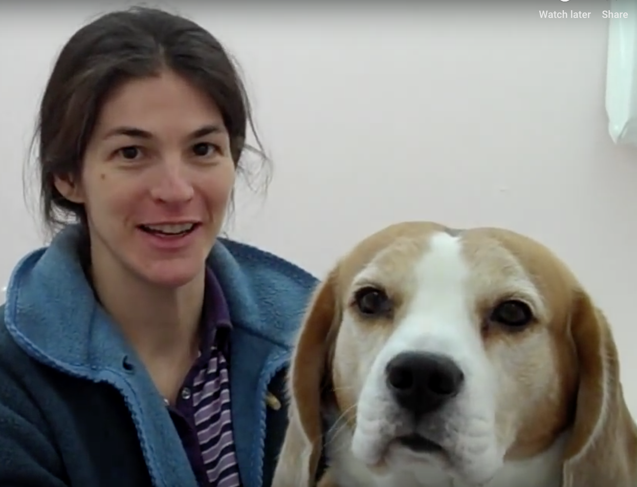 Geneva Animal Hospital, Animal Hospital Geneva, Cabinet Vétérinaire International,Geneva Veterinarian, veterinarian Geneva, smuggle with owner