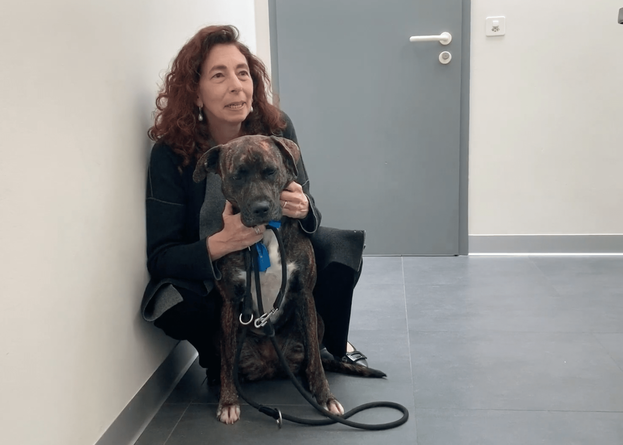  Geneva Animal Hospital, Animal Hospital Geneva,Cabinet Vétérinaire International,Geneva Veterinarian, veterinarian Geneva, maxi with owner