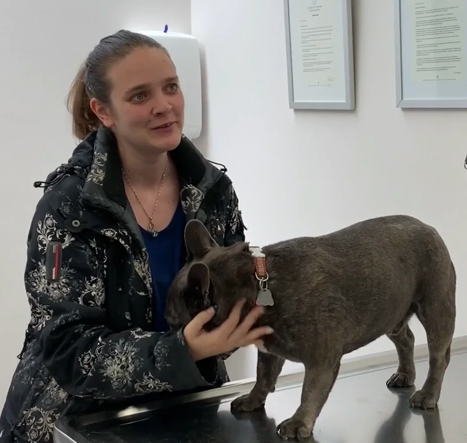  Geneva Animal Hospital, Animal Hospital Geneva, Cabinet Vétérinaire International, Geneva Veterinarian, veterinarian Geneva, Husko with owner